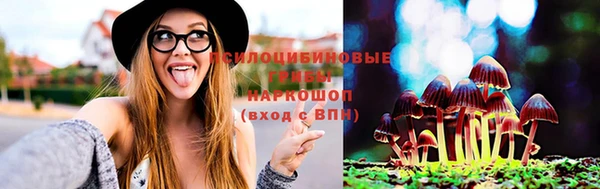 шишки Алексеевка