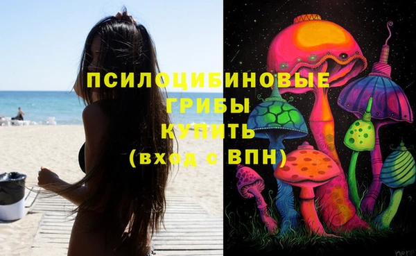 apvp Абдулино