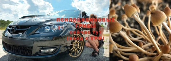 apvp Абдулино