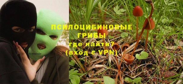 шишки Алексеевка
